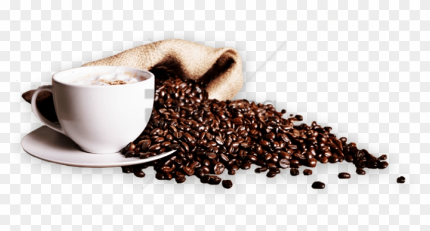Coffee Png Png Image With Transparent Background - Coffee Cup Bean Png, Png  Download - 850x381(#6434208) - PngFind