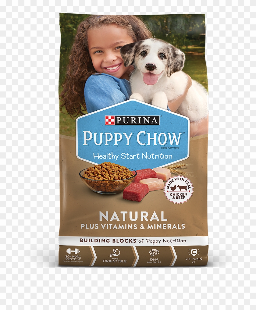 grain free dog treats recipes uk