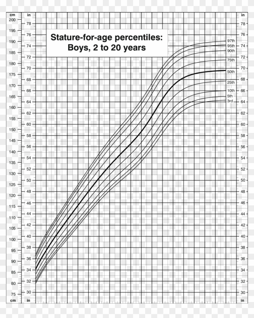 Growth Chart Head Circumference Boy 2 20, HD Png Download - 850x1026 ...