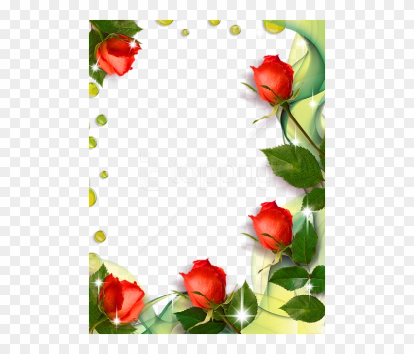 Free Png Beautiful Transpa Photo Frame With Roses
