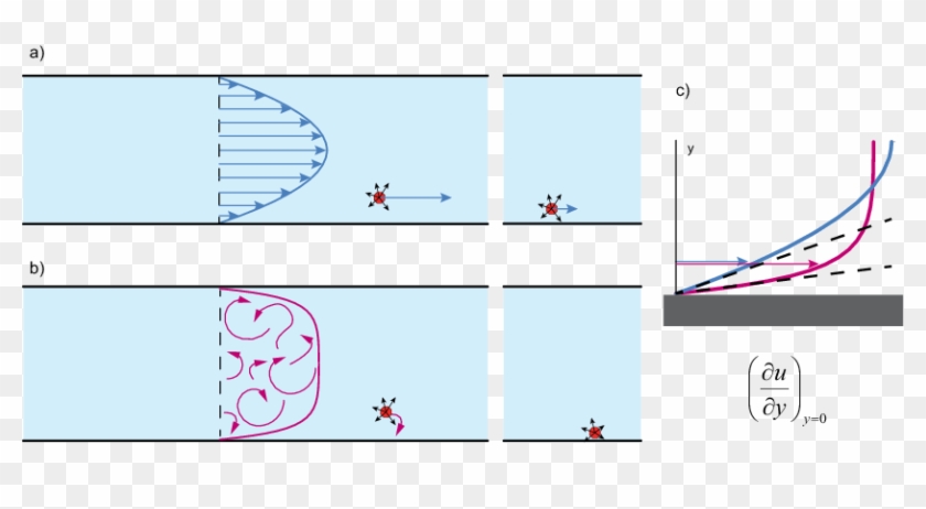 Qualitative View Of Particle Transport Under - Turbulent Flow Particles ...