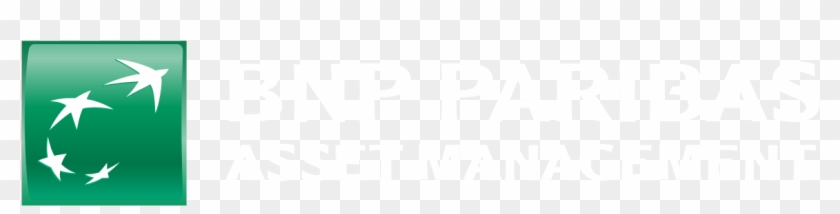 Bnp Logo PNG Vectors Free Download