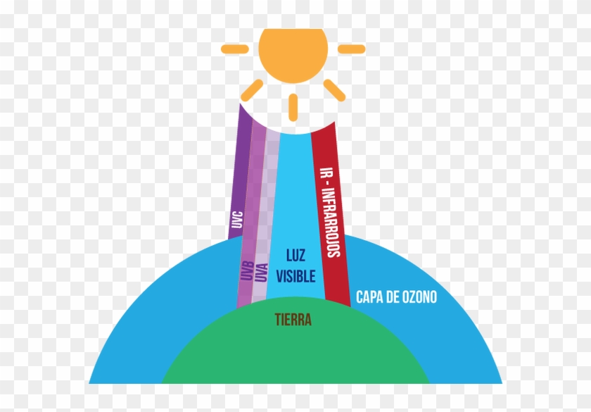 El Porcentaje De Bloqueo De Uvr Se Relaciona Con El - Tipos De Rayos Uv, HD Png Download - 612x504(#6465068) - PngFind El Porcentaje De Bloqueo De Uvr Se Relaciona Con El - Tipos De Rayos Uv, HD Png Download - 612x504(#6465068) - PngFind