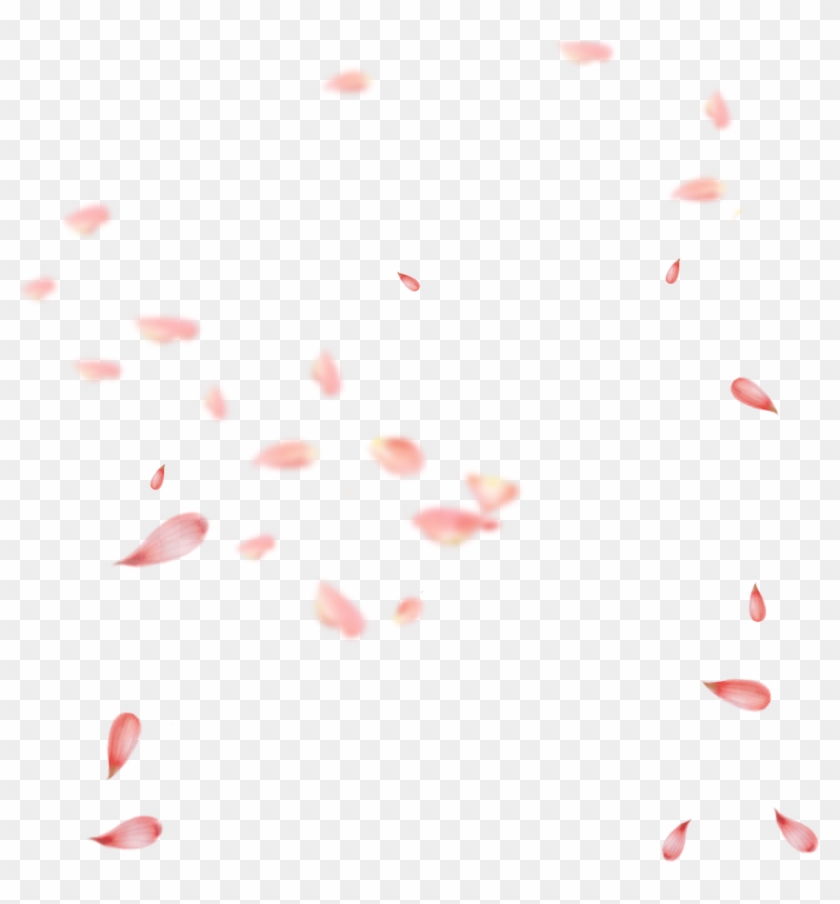 Petal Pink Gratis Transprent Transparent Cherry Blossom Petals