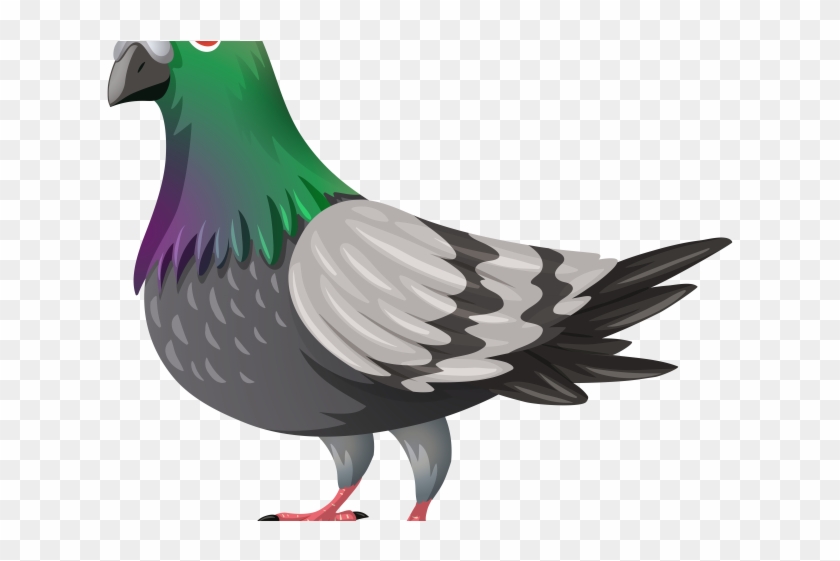 Dove Clipart Burung Imagenes De Clase Aves Hd Png Download