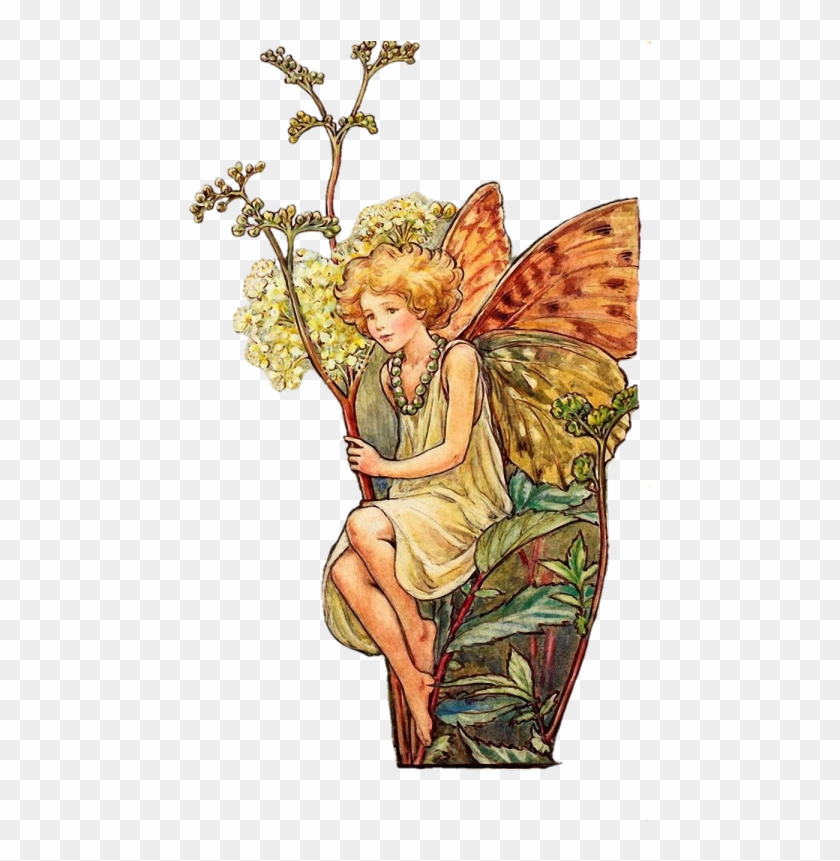 Vintage Fairy Pngs Flower Fairy Vintage Print By Cicely Mary Barker First Transparent Png 540x780 Pngfind