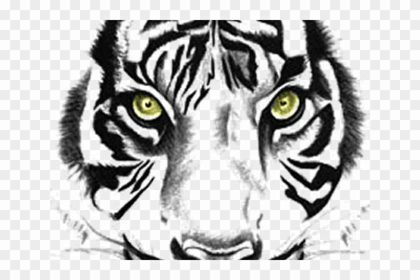 Tiger Tattoos Png Transparent Images - Tiger Face Clipart Black And White,  Png Download - 640x480(#6488413) - PngFind