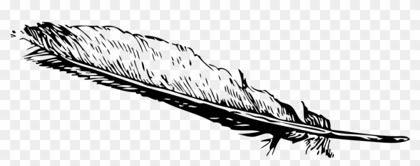 Indian Feather Png - Feather Clip Art Free, Transparent Png -  960x480(#6495280) - PngFind