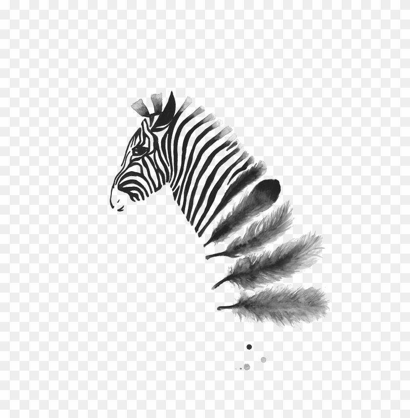 Zebra Ink Shadow Zebra Ink Wash Into Feathers Pinned By Issy Wilson - Black And White ...