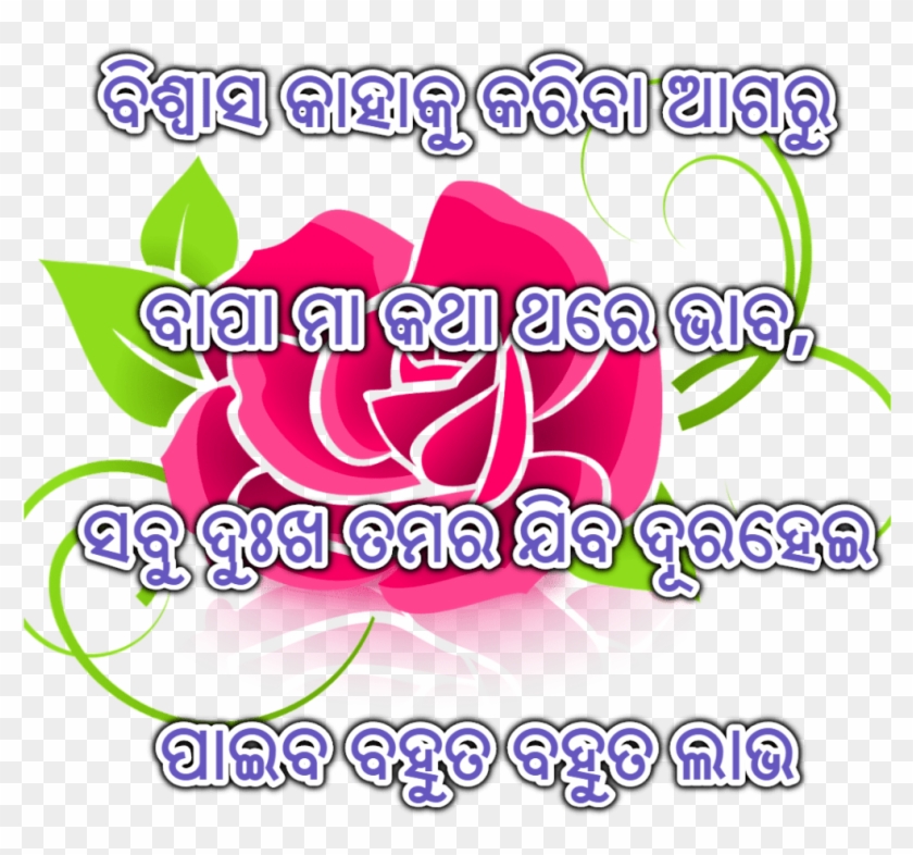 Odia Love Shayari Images Best Collections Are Here Flor Rosa De