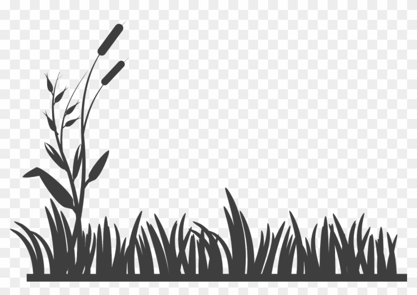 Download Grass Vector Silhouette Png - Grass Black And White, Transparent Png - 960x634(#652446) - PngFind