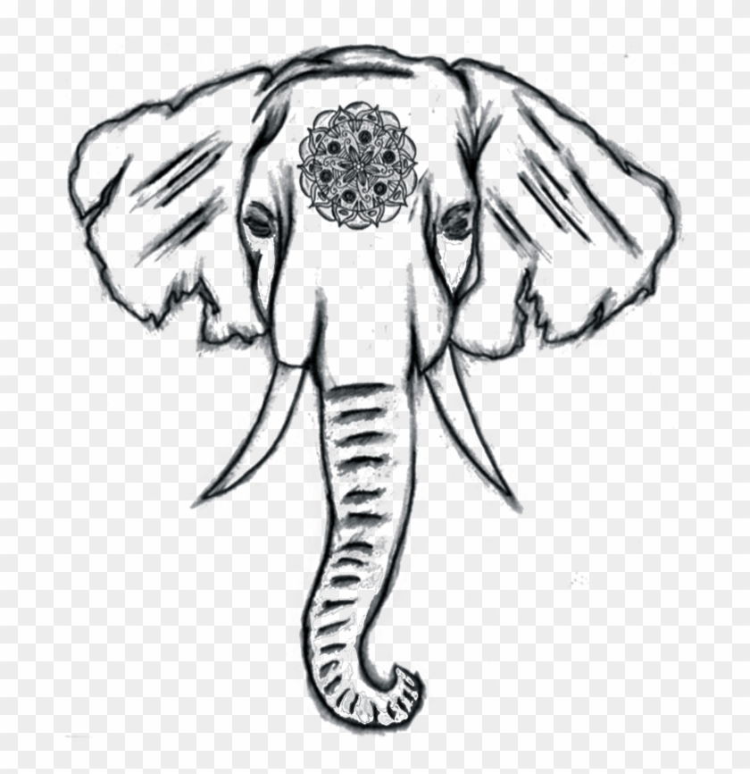 Image Result For Easy Elephant Drawing Tumblr Canvas Cute Easy