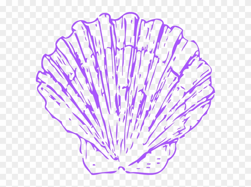 Sea Shells Png - Scallop Clipart, Transparent Png - 600x544(#6505846 ...