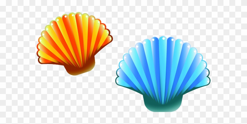 Seashell Poster Marine Elements Transprent Png - Seashell Cartoon Png, Transparent Png - 690x480(#6505901) - PngFind Seashell Poster Marine Elements Transprent Png - Seashell Cartoon Png, Transparent Png - 690x480(#6505901) - PngFind