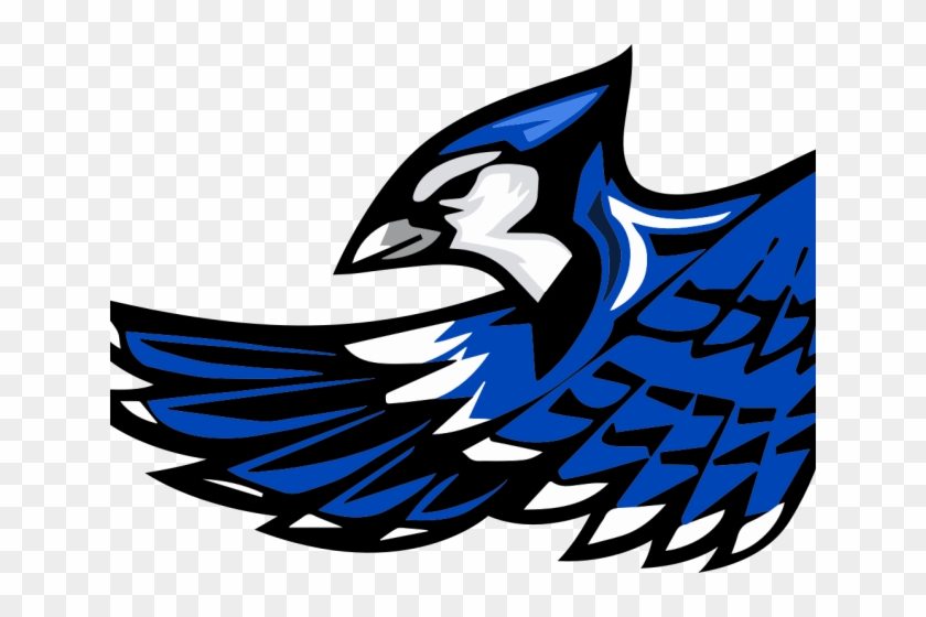 Blue Jay Clipart Mascot Snook Bluejays Hd Png Download 640x480 Pngfind
