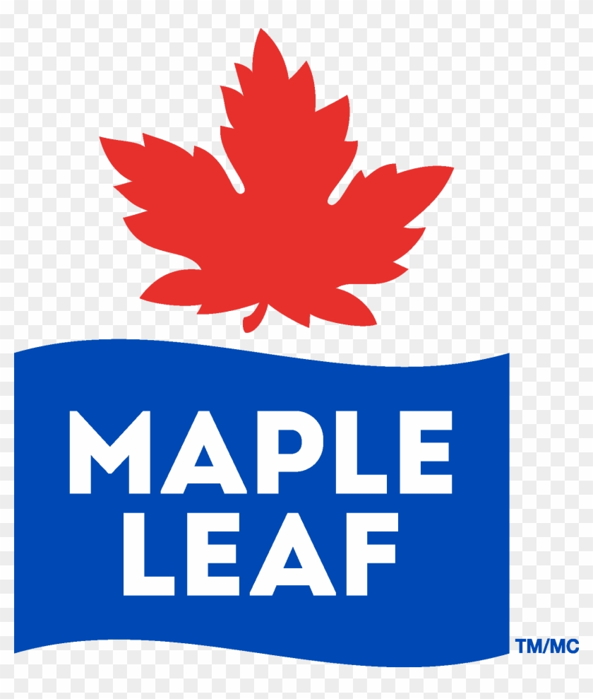 Maple Leaf Logo Logo Maple Leaf Food Hd Png Download 1553x1756 6514173 Pngfind