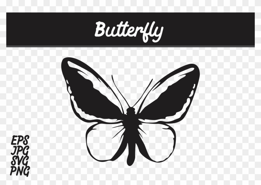 Butterfly Silhouette Svg Vector Image Graphic By Arief Fish Silhouette Hd Png Download 7514x5000 6516580 Pngfind