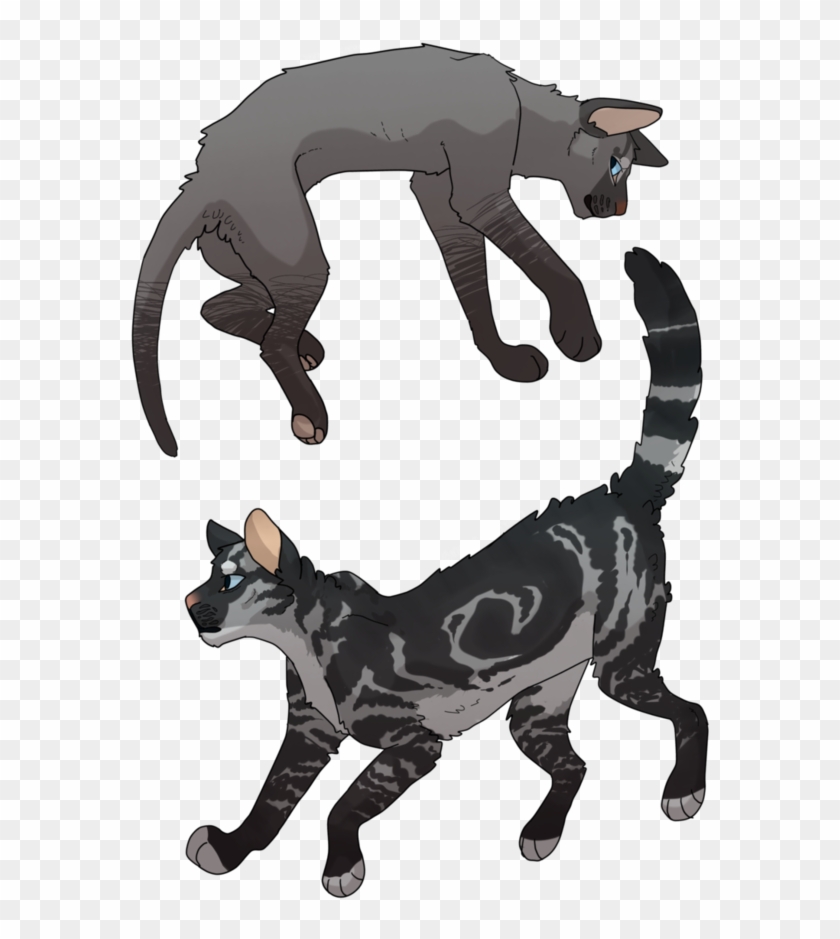 Warrior Cat Sketch