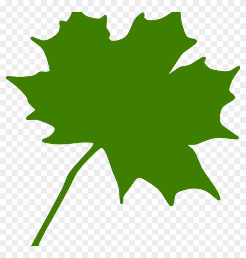 Maple Leaf Clipart Green Maple Leaf Clipart Clipart Green Maple Leaf Clip Art Hd Png Download 1024x1024 Pngfind