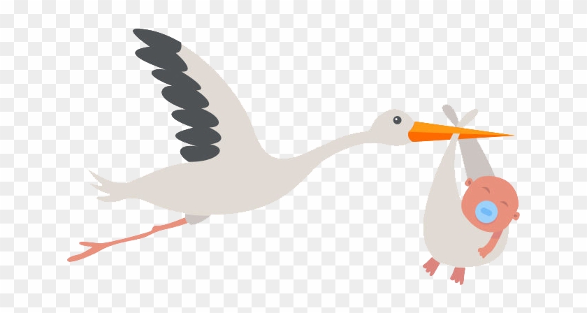 Stork And Baby Vector Png Transparent Png 800x566 Pngfind