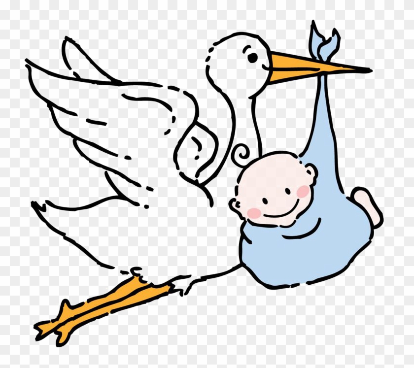 Stork Free Png Image Baby And Stork Clipart Transparent Png 740x667 Pngfind Stork Free Png Image Baby And Stork Clipart Transparent Png 740x667 Pngfind