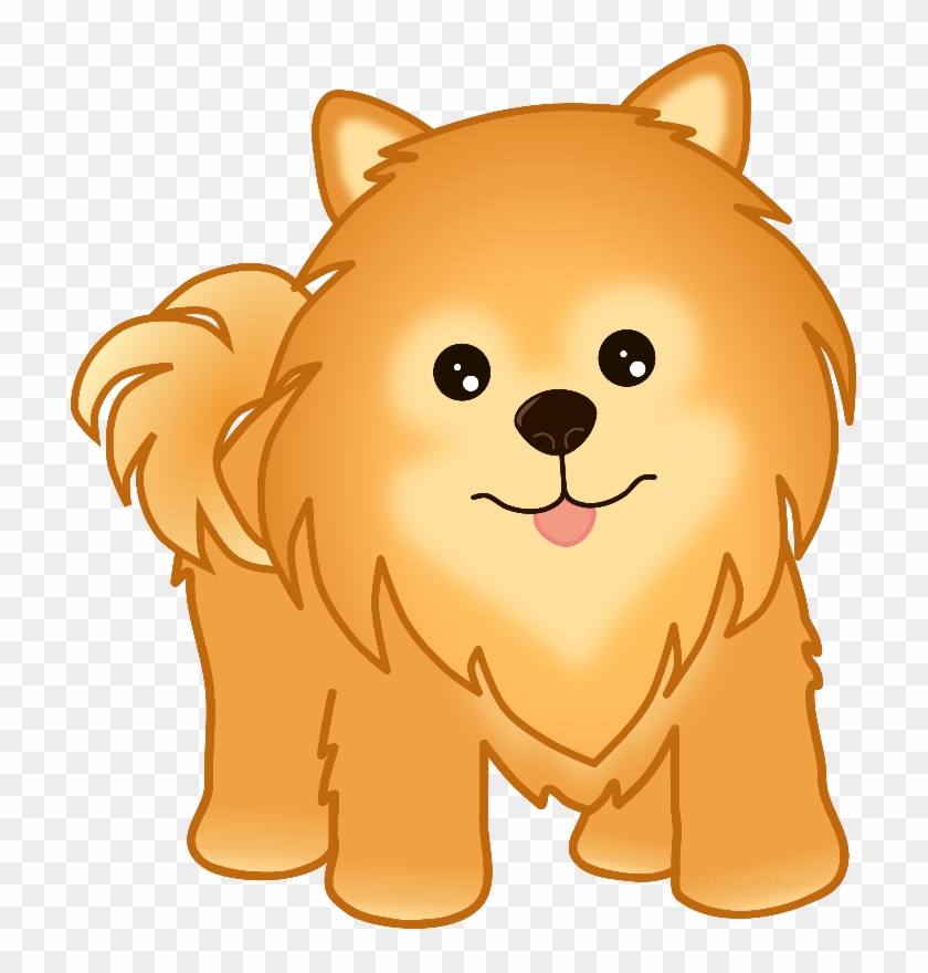 Pomeranian Puppy Dog - Clipart Of Pomeranian Dogs, HD Png Download