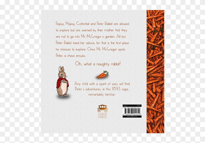Peter Rabbit - Ladybug, HD Png Download - 505x768(#6555163) - PngFind