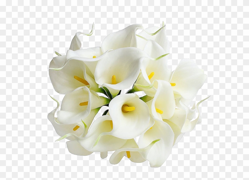 Calla Png Transparent Image - Flor De Cala Blanca, Png Download -  600x600(#6568616) - PngFind
