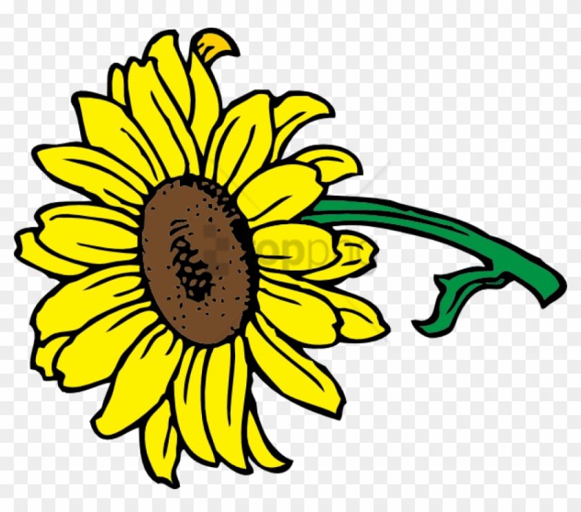 Free Png Sunflower Vector Png Png Image With Transparent