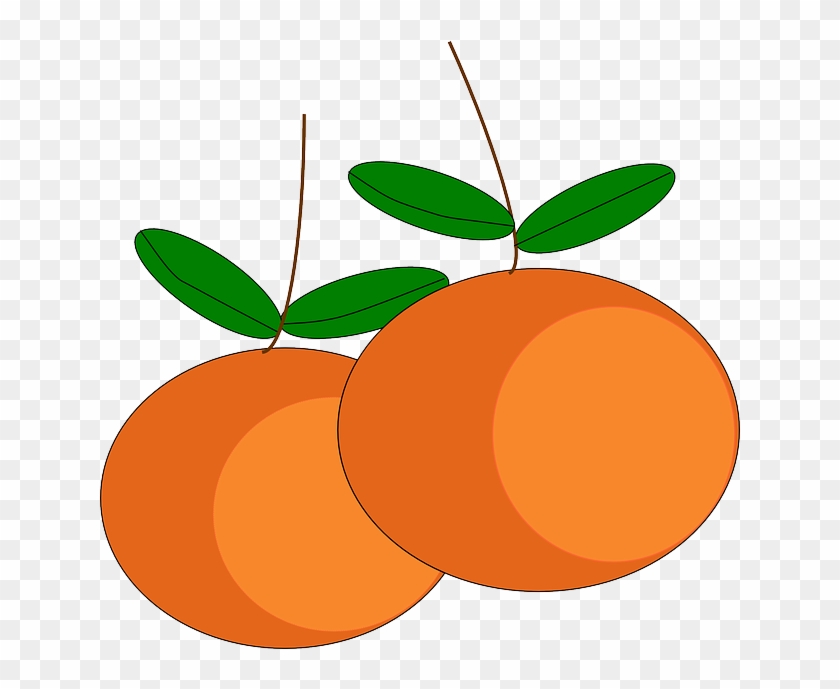 Orange Fruit Clipart Orange Tree - Mandarin Orange Cartoon Png, Transparent Png - 640x609(#6585099) - PngFind Orange Fruit Clipart Orange Tree - Mandarin Orange Cartoon Png, Transparent Png - 640x609(#6585099) - PngFind