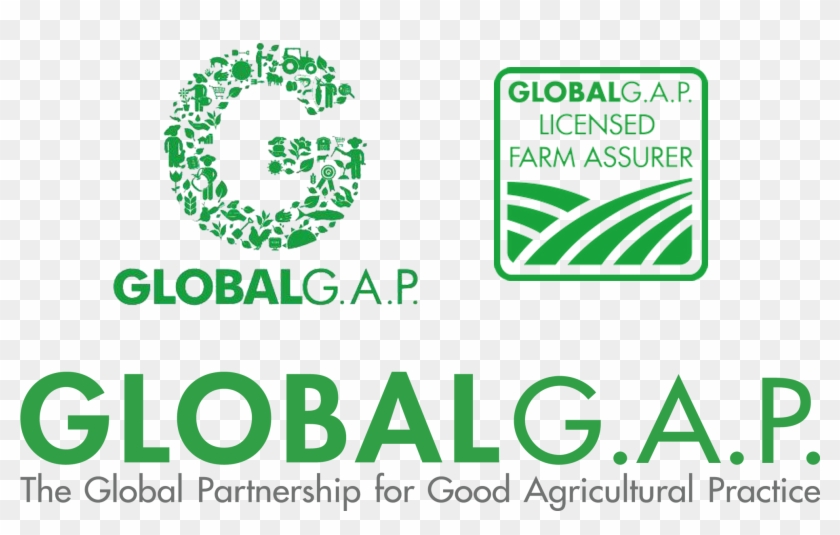 Certificazioni Global Gap Logo - Global Gap Certificate Logo, HD Png  Download - 1980x1167(#6591514) - PngFind