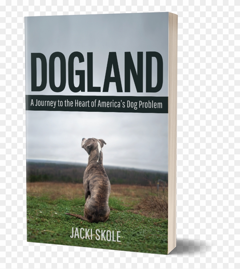 Dogland. Dogland. Dogland. Bewital dogland logo. Dogland.