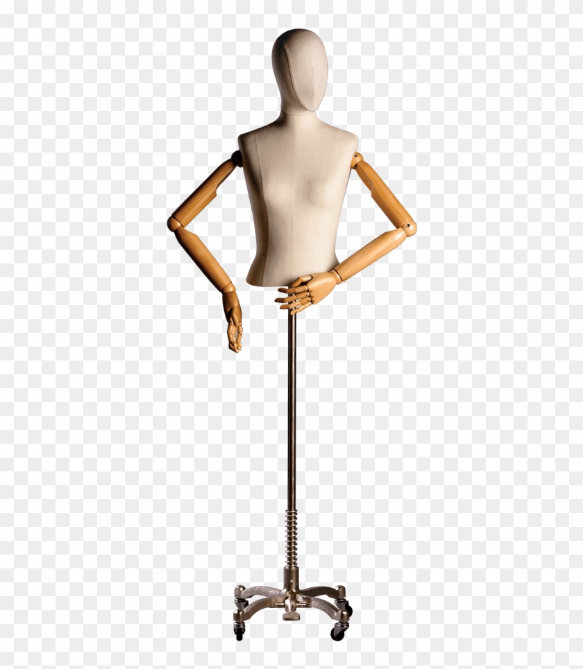 Hcmf F201 Half - Mannequin, HD Png Download - 648x900(#6602461) - PngFind