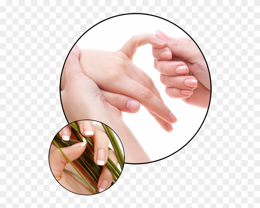 Deluxe Manicure 35 HD Png Download 544x603 6606813 PngFind