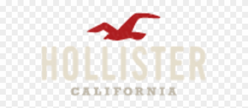 Hollister Co., HD Png Download - 800x800(#6612514) - PngFind