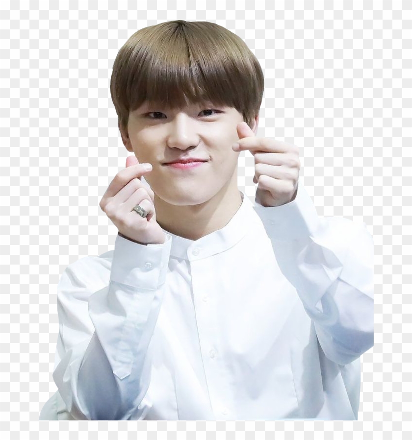 Seventeen Seventeendino Leechan Chan Dino Kpop Seventeen Dino Transparent Background Hd Png Download 685x818 6639319 Pngfind