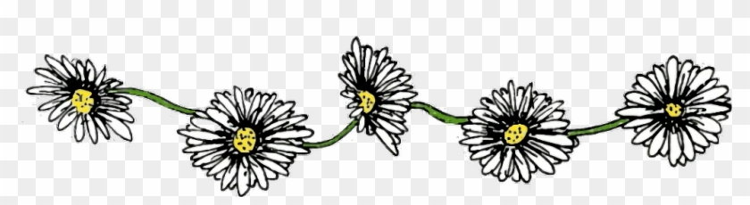flores #bordes #marco #margaritas #lindo - Transparent Daisy Chain, HD Png  Download - 1024x232(#6652552) - PngFind