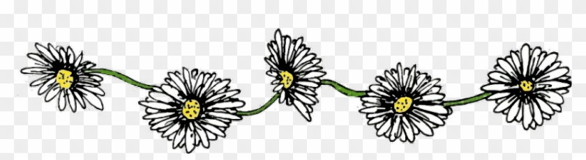 flores #bordes #marco #margaritas #lindo - Transparent Daisy Chain, HD Png Download - 1024x232(#6652552) - PngFind flores #bordes #marco #margaritas #lindo - Transparent Daisy Chain, HD Png Download - 1024x232(#6652552) - PngFind