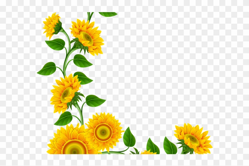 Sunflowers Clipart Marigold Sunflower Corner Border Png