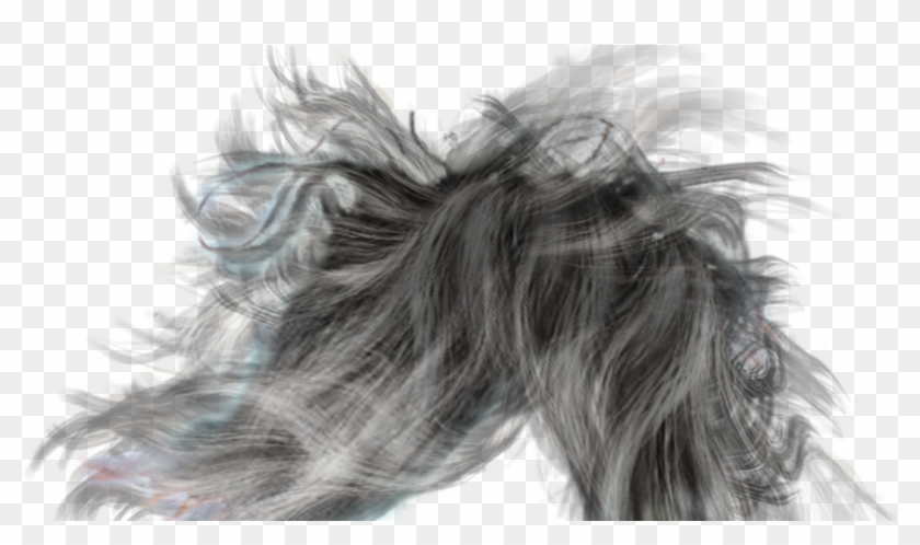 Male Long Hair Png, Transparent Png - 900x472(#6674205) - PngFind