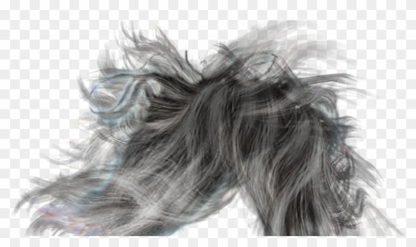 Male Long Hair Png, Transparent Png - 900x472(#6674205) - PngFind Male Long Hair Png, Transparent Png - 900x472(#6674205) - PngFind