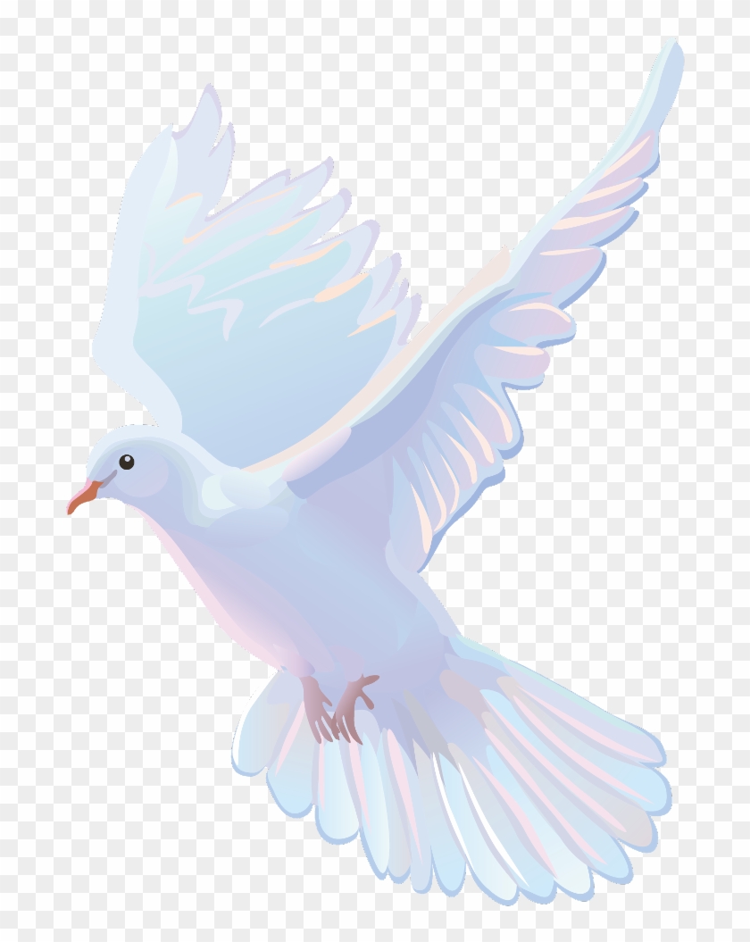 Vector - Paloma Blanca Vector Png, Transparent Png - 1024x1024(#6679086) -  PngFind