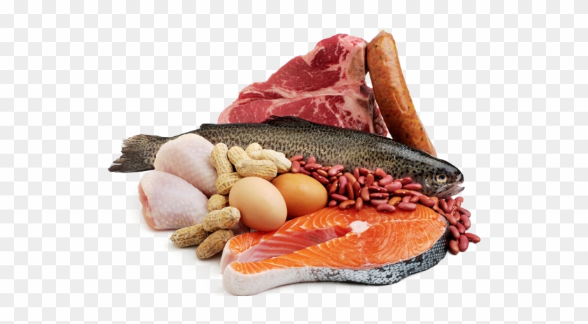 Seafood Clipart Protein - Meat Fish And Eggs, HD Png Download - 640x480(#6685198) - PngFind