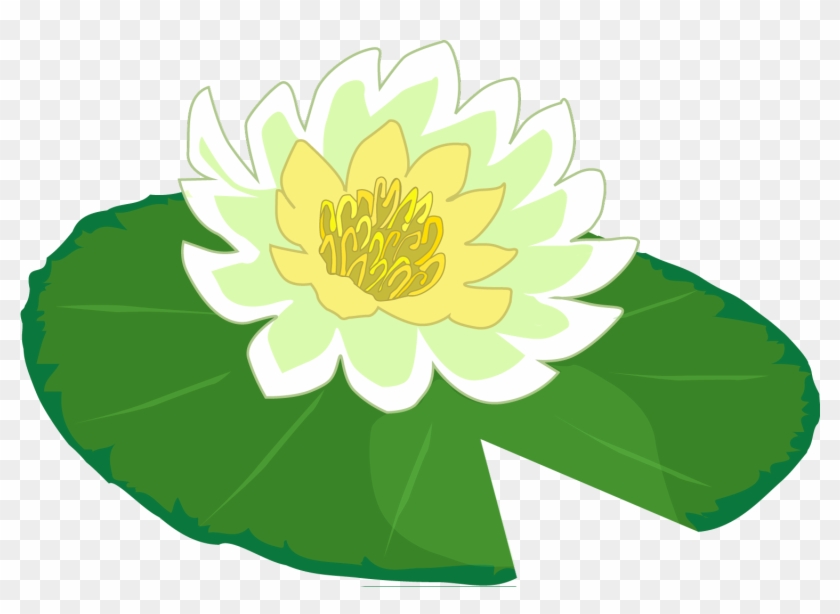 White Flower Water Lily Clipart The Cliparts Png Lily Pad Clipart Transparent Png Download 1501x1027 Pngfind White Flower Water Lily Clipart The Cliparts Png Lily Pad Clipart Transparent Png Download 1501x1027 Pngfind