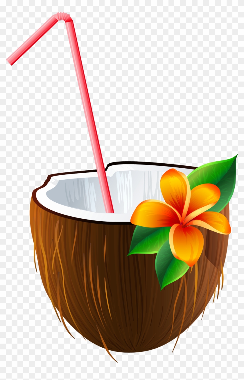 Exotic Clipart Moana Transparent Background Coconut Drink Clipart Hd Png Download 2322x3381 Pngfind Exotic Clipart Moana Transparent Background Coconut Drink Clipart Hd Png Download 2322x3381 Pngfind