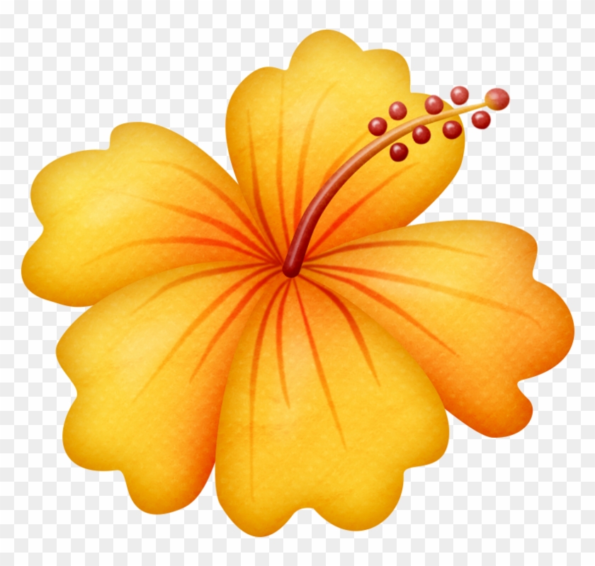Banner Royalty Free Stock Lliella Gumamela Png Clip Hawaiian Flowers