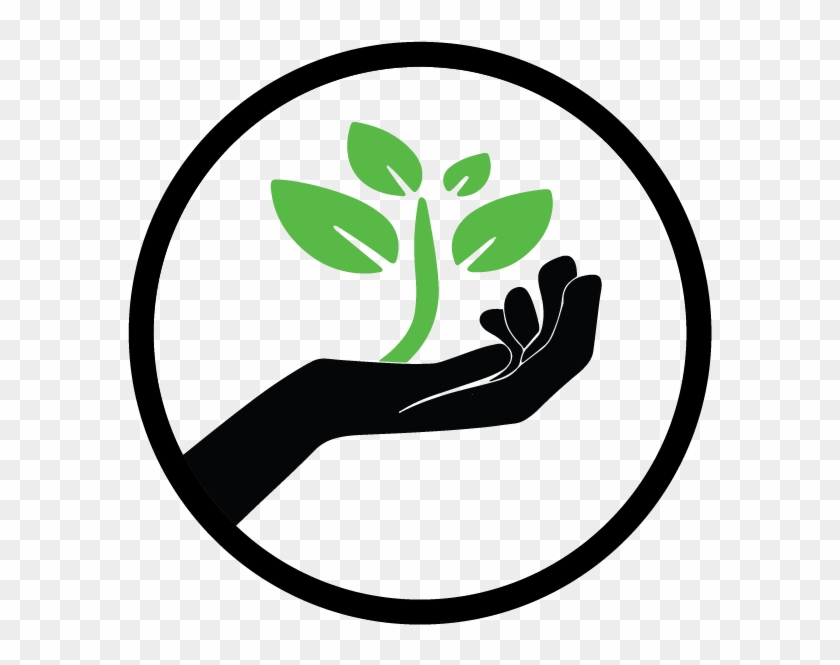 Plant A Seed Icon, HD Png Download - 846x599(#672086) - PngFind