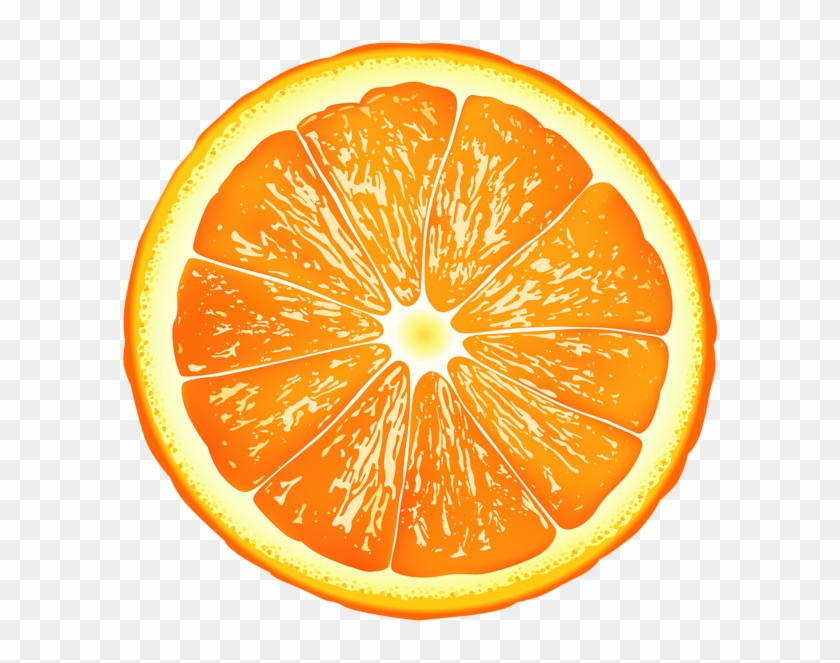 Orange Slice Png Clip Art Orange Slice Png Transparent Png 600x5 Pngfind