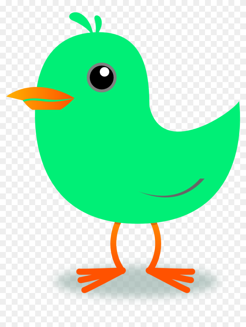 Spring Birds Clipart - Bird Cartoon Gif Png, Transparent Png - 822x1036(#6707924) - PngFind Spring Birds Clipart - Bird Cartoon Gif Png, Transparent Png - 822x1036(#6707924) - PngFind