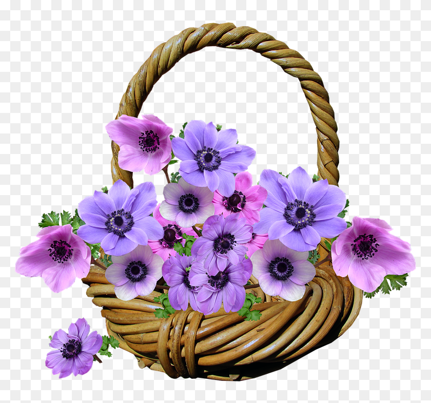 Flowers Anemone Basket Arrangement Garden - Cesta De Flores Png